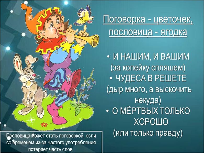 foto37